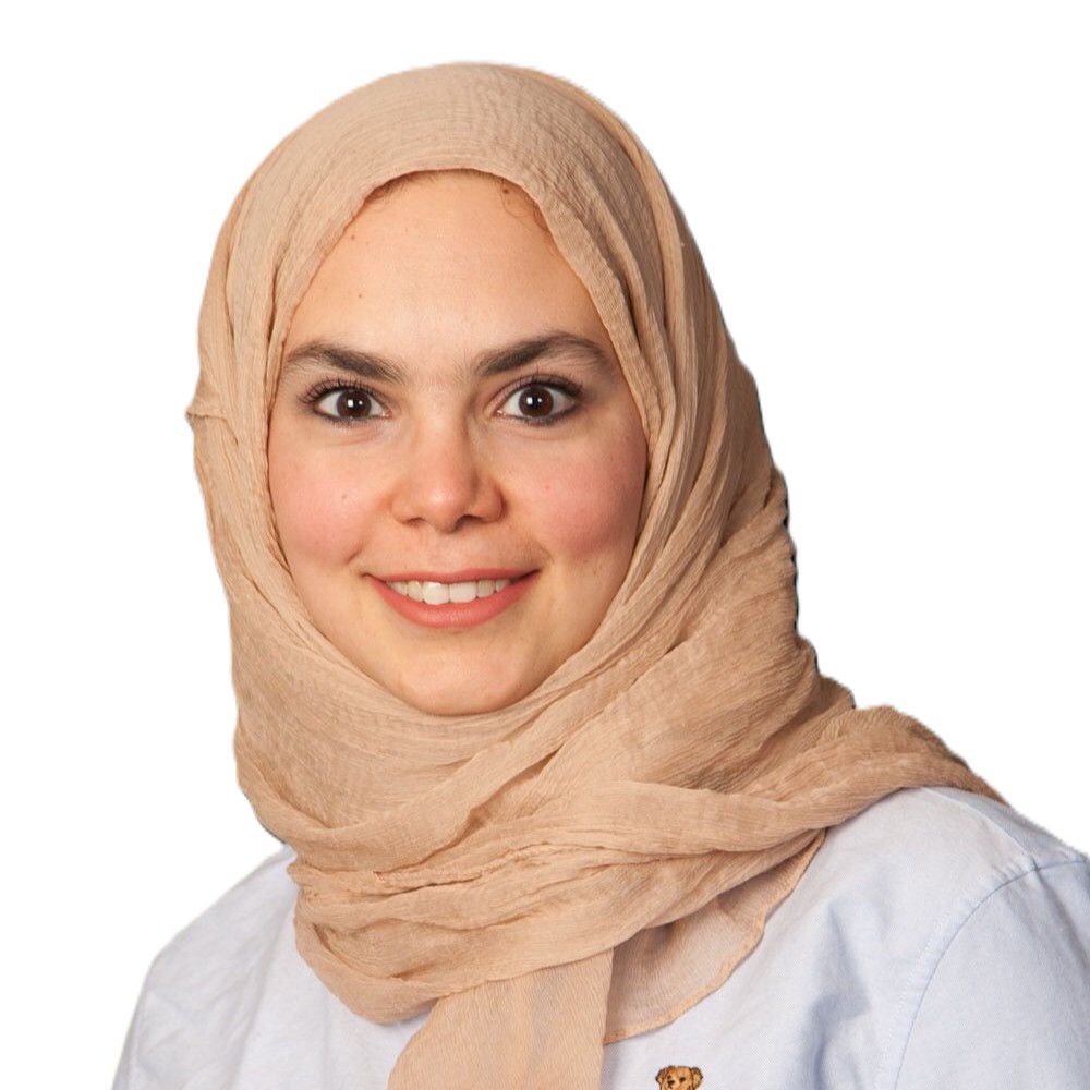 Dr. Walaa Ahmed